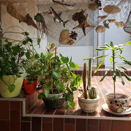 Mihaela Apartamento